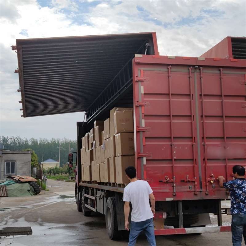 市南区扎囊县：物流专线的高效货运之旅